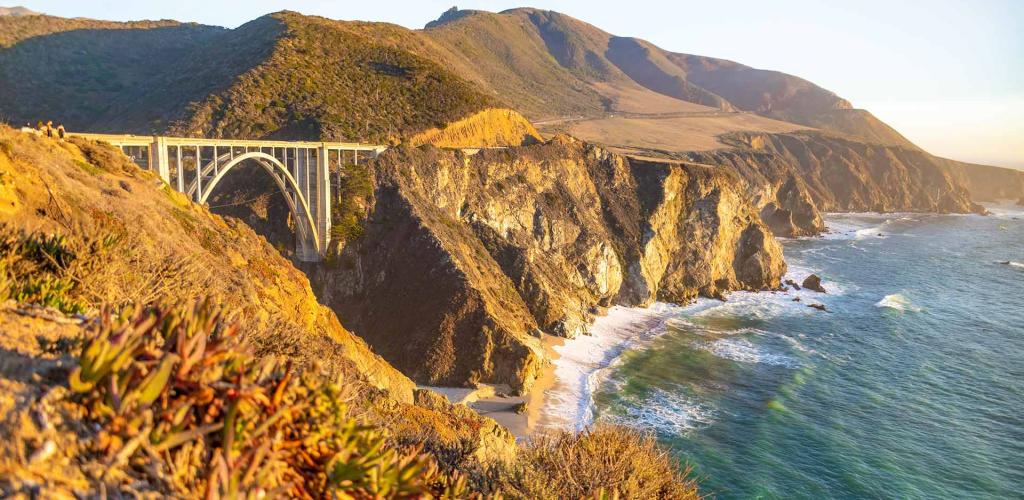 Investment Planning Management Torimax Financial Group CA